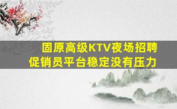 固原高级KTV夜场招聘促销员平台稳定没有压力